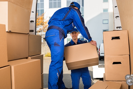 Removalist taking boxes - Faulkner Removals
